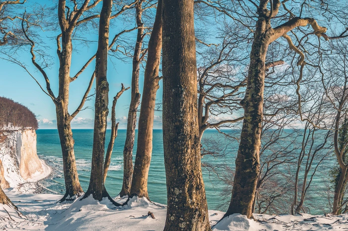 Rügen. Auf Rügen können Strandwanderer direkt in den Buchenwald des Unesco-Weltnaturerbes Jasmund zum Waldbaden übergehen. Auf Usedom in den Küstenwald. 