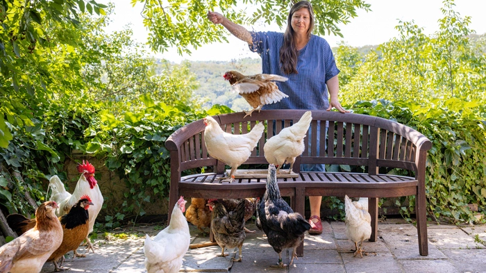 Astrid Drapelas Gespür fürs Huhn