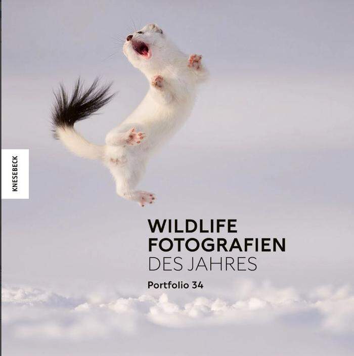 Buchtipp: Wildlife Fotografien des Jahres. Portfolio 34. Knesebeck, 160 Seiten, 38 Euro. 