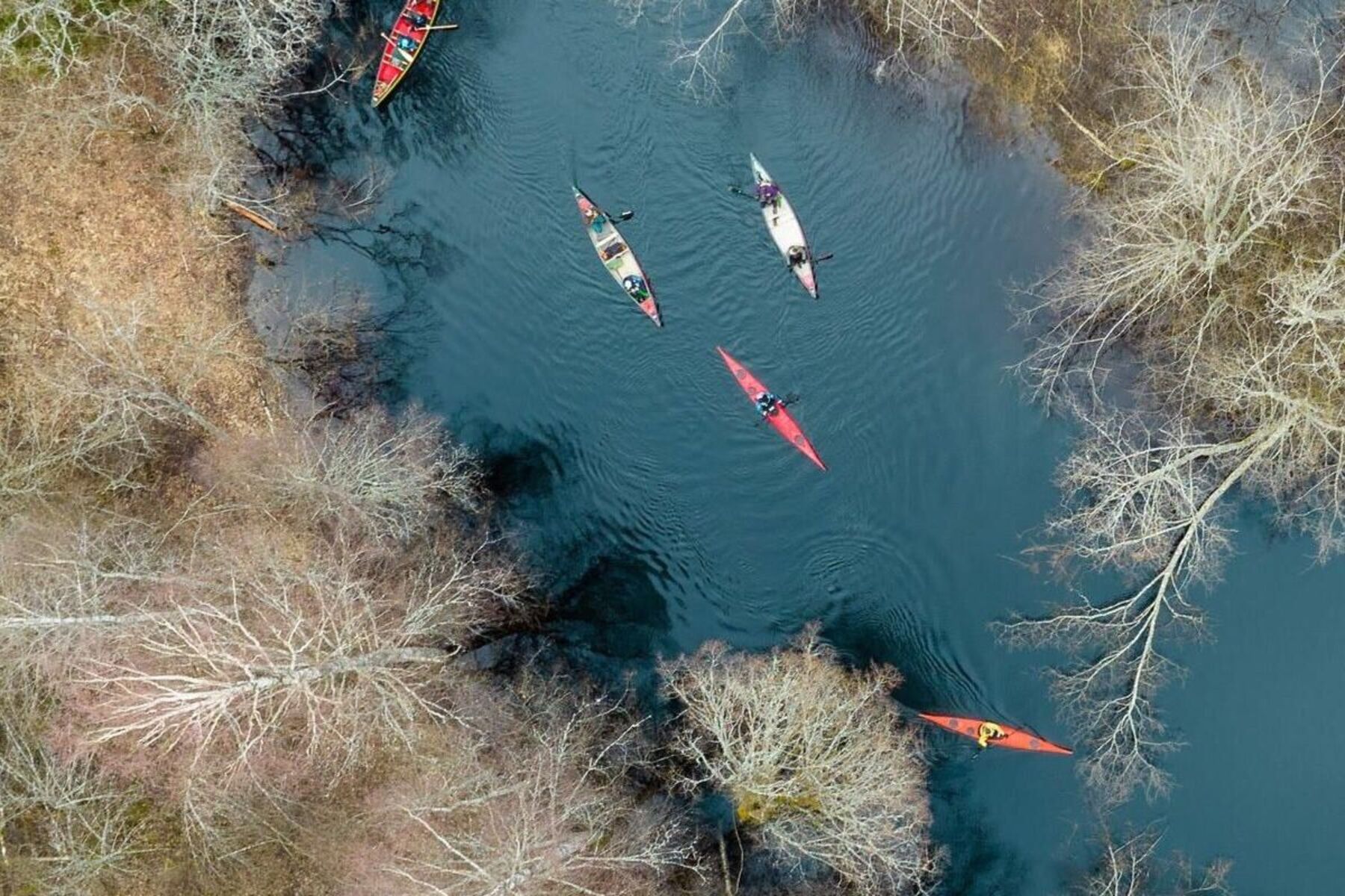 Estlands fünfte Jahreszeit: Wo man mit dem Kanu durch den Wald fährt