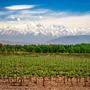 Mendoza ist die größte Weinbauregion Argentiniens und liegt am Fuße der Anden