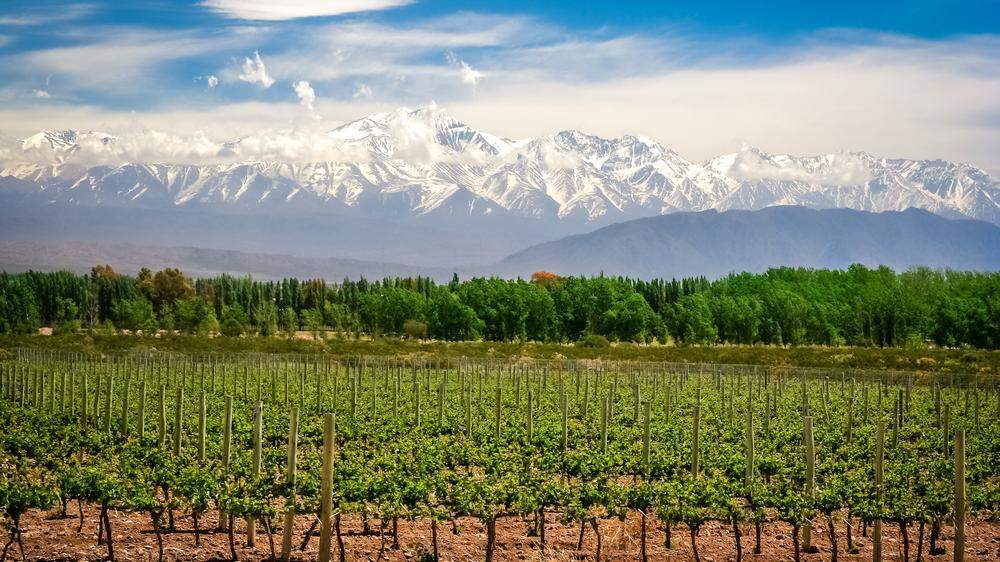Mendoza ist die größte Weinbauregion Argentiniens und liegt am Fuße der Anden