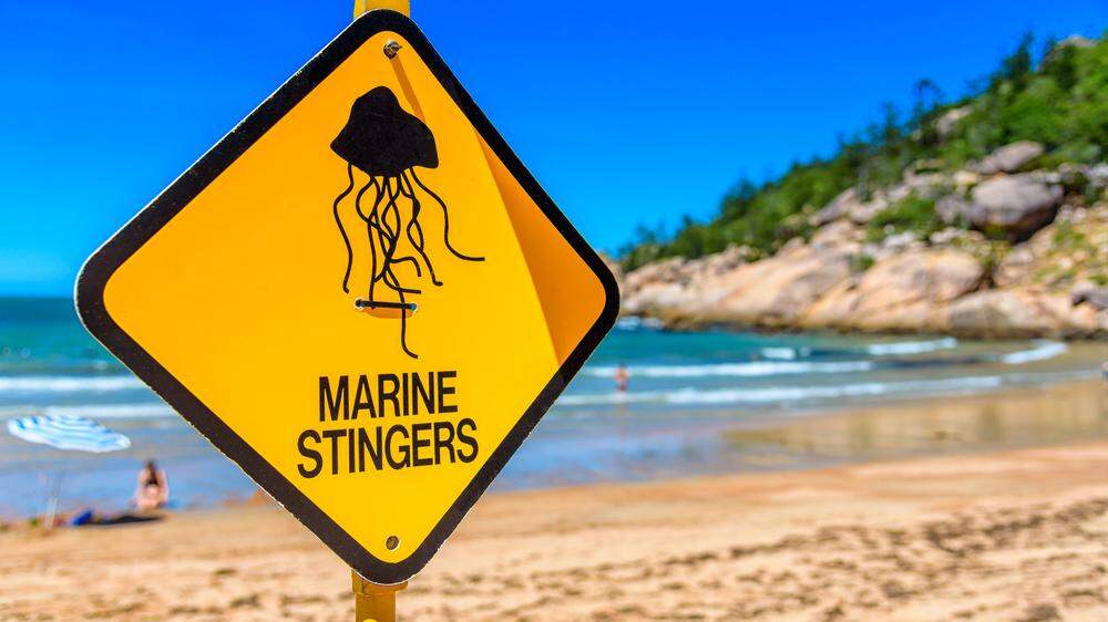 Schild warnt vor giftigen Quallen an einem Strand in Australien