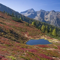 Der kleine Bergsee unterhalb des Schladminger Törls wird durch das kräftig leuchtende Heidekraut zu einem farbintensiven Fotomotiv