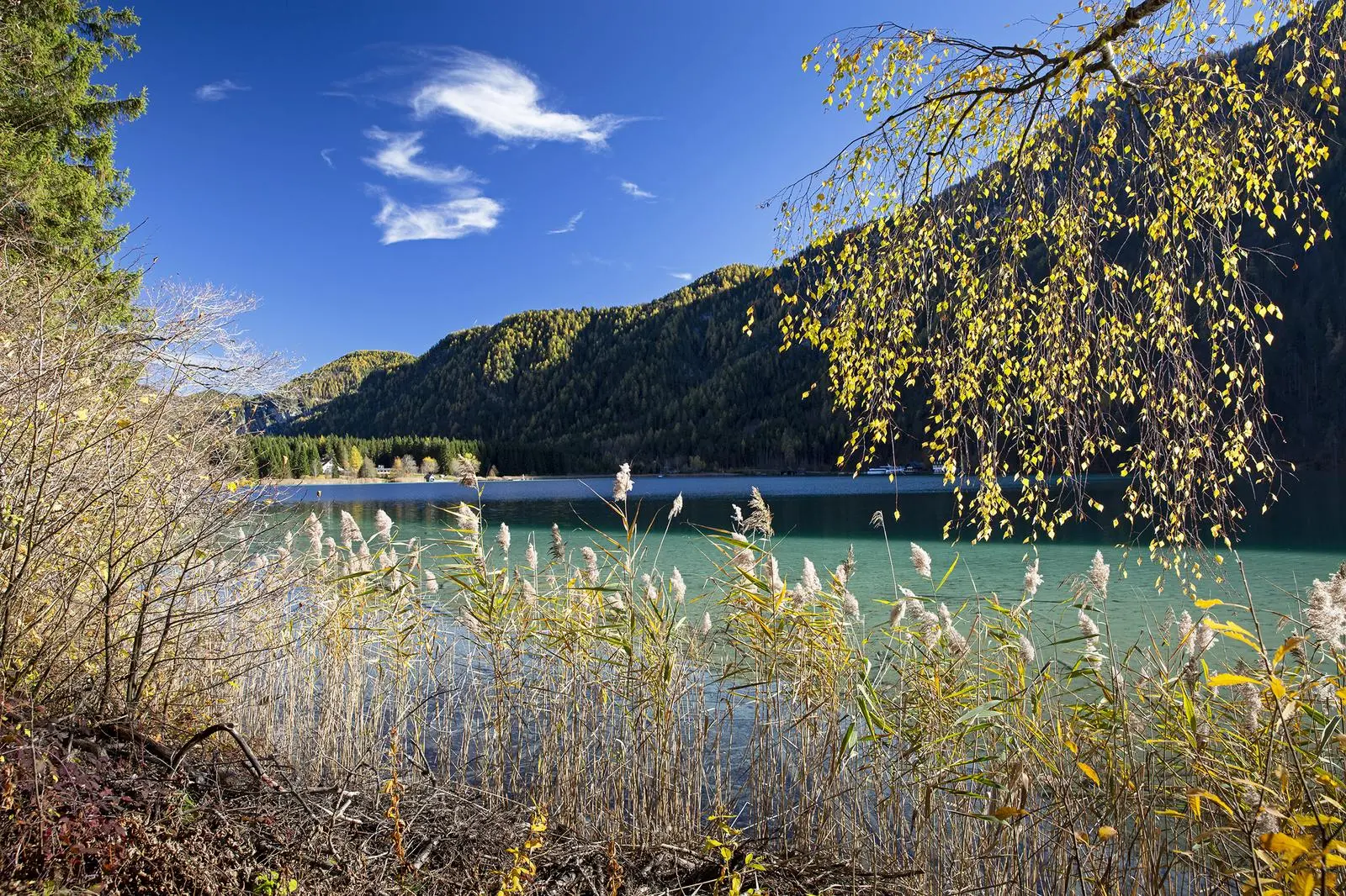 Karibik-Feeling in Kärnten: Das türkisblaue Wasser am Weißensee leuchtet mit den Herbstfarben um die Wette