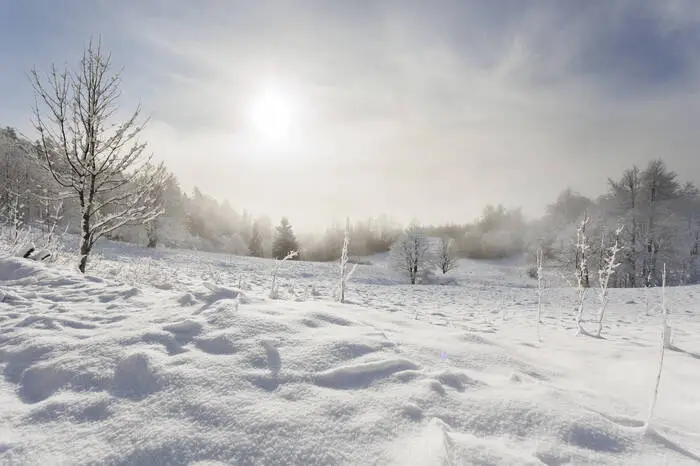 Gorski kotar. Die Region im Norden des Landes ist goldrichtig für alle, die den Winter lieben und gerne im Freien aktiv sind: beim Skifahren, Rodeln, Schneeschuhwandern, Langlaufen oder einfach bei Spaziergängen durch die verschneite Landschaft. Ungewöhnlich ist das dortige Skigebiet Platak, wo man Wintersport mit Ausblick aufs Meer verbinden kann.
