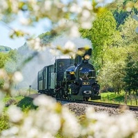„9 Plätze – 9 Schätze“:  Die Mariazellerbahn (Niederösterreich)  gewann die ORF-Show 2025 