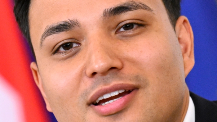 NEOS-Klubobmann Shetty will Parallelgesellschaften bekämpfen