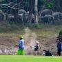Elefanten auf Wassersuche während der Hitzewelle im April: Werden sie es auf diesem Golfplatz in der Provinz Nakhon Nayok finden?  | Elefanten auf Wassersuche während der Hitzewelle im April: Werden sie es auf diesem Golfplatz in der Provinz Nakhon Nayok finden? 