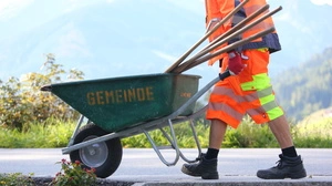 Warum einsam und allein, wenn es gemeinsam einfacher und vor allem billiger geht?