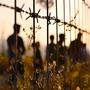 Menschen hinter einem Zaun | 58.686 Asylanträge wurden 2023 in Österreich gestellt. 