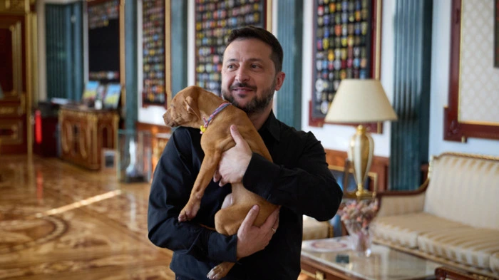This handout photograph taken and released by the Ukrainian Presidential Press Service on August 25, 2026, shows Ukraine's President Volodymyr Zelensky holding a female puppy named Freyja, that was given to him by US boxer Terence Crawford during their meeting in Kyiv, amid Russia’s invasion of Ukraine. (Photo by Handout / UKRAINIAN PRESIDENTIAL PRESS SERVICE / AFP) / XGTY / RESTRICTED TO EDITORIAL USE - MANDATORY CREDIT "AFP PHOTO / UKRAINIAN PRESIDENTIAL PRESS SERVICE" - NO MARKETING NO ADVERTISING CAMPAIGNS - DISTRIBUTED AS A SERVICE TO CLIENTS