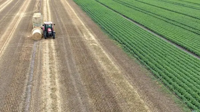Nachhaltige Beschaffungen kann heimische Landwirtschaft stützen
