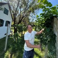 Stefan Krispel steht aktuell in den Startlöchern für die Weinlese. Die Beeren des Sauvignon Blanc sind schon süß