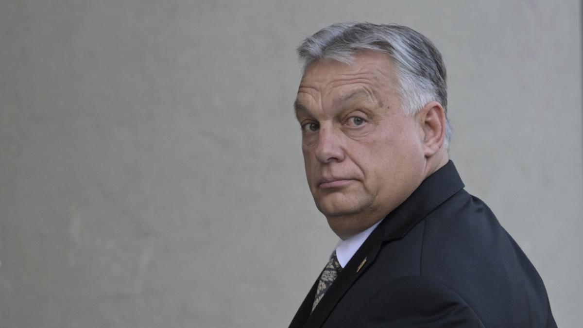 Die Regierung von Viktor Orban will „ausländische Einmischung“ verhindern