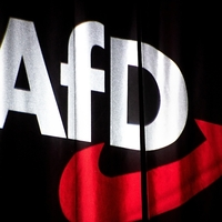 AfD aus ID-Fraktion im Europaparlament ausgeschlossen