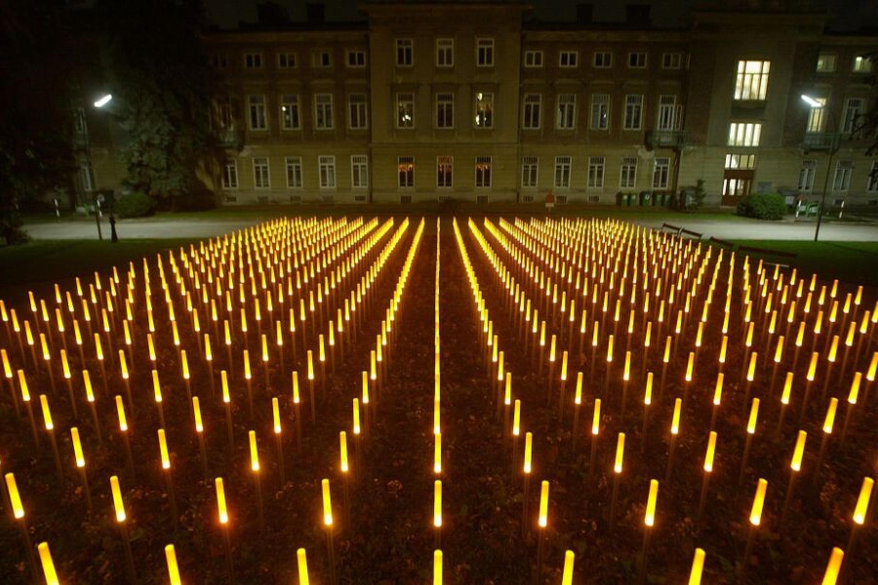 Halle/Wien: Neue Datenbank zeigt viele NS-Medizin-Opfer aus Österreich