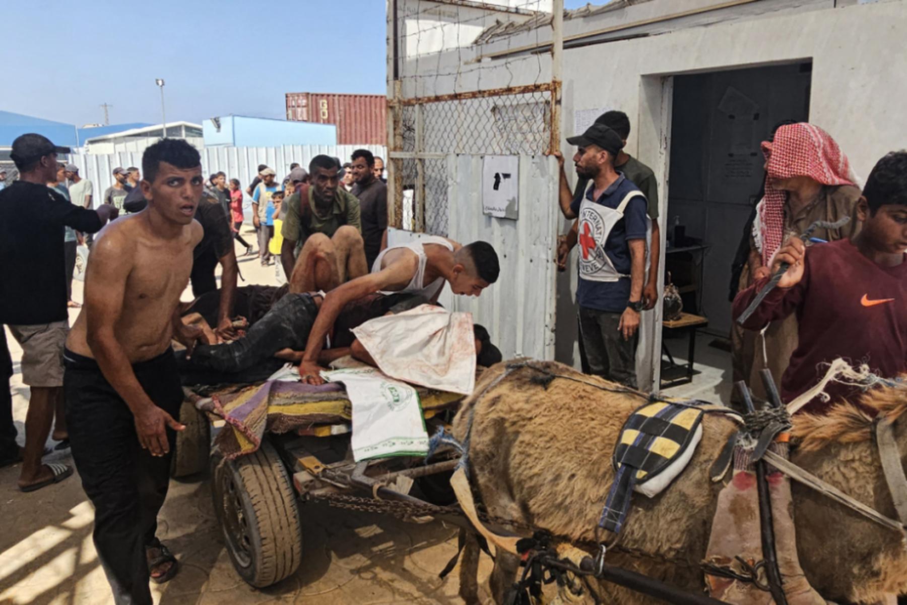 Wien: Hilfsorganisationen warnen vor Budgetkürzungen