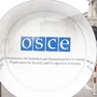 Im Vorjahr hatte es Proteste bei der OSZE-Tagung gegeben | Im Vorjahr hatte es Proteste bei der OSZE-Tagung gegeben