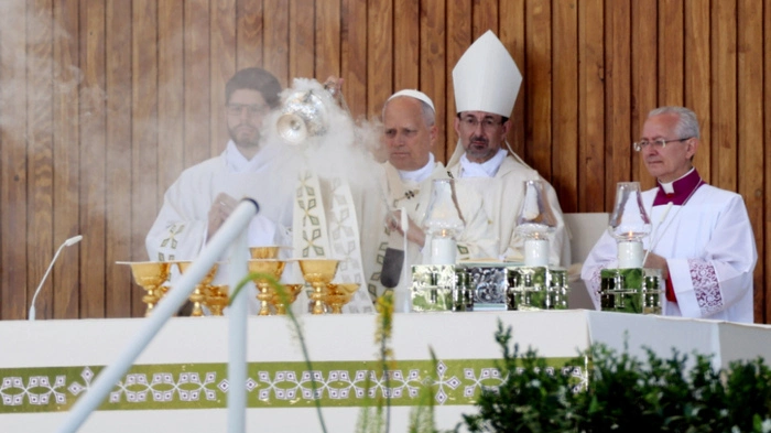 Papst-Messe in Madrid mit über einer Million Gläubigen | Papst-Messe in Madrid mit über einer Million Gläubigen