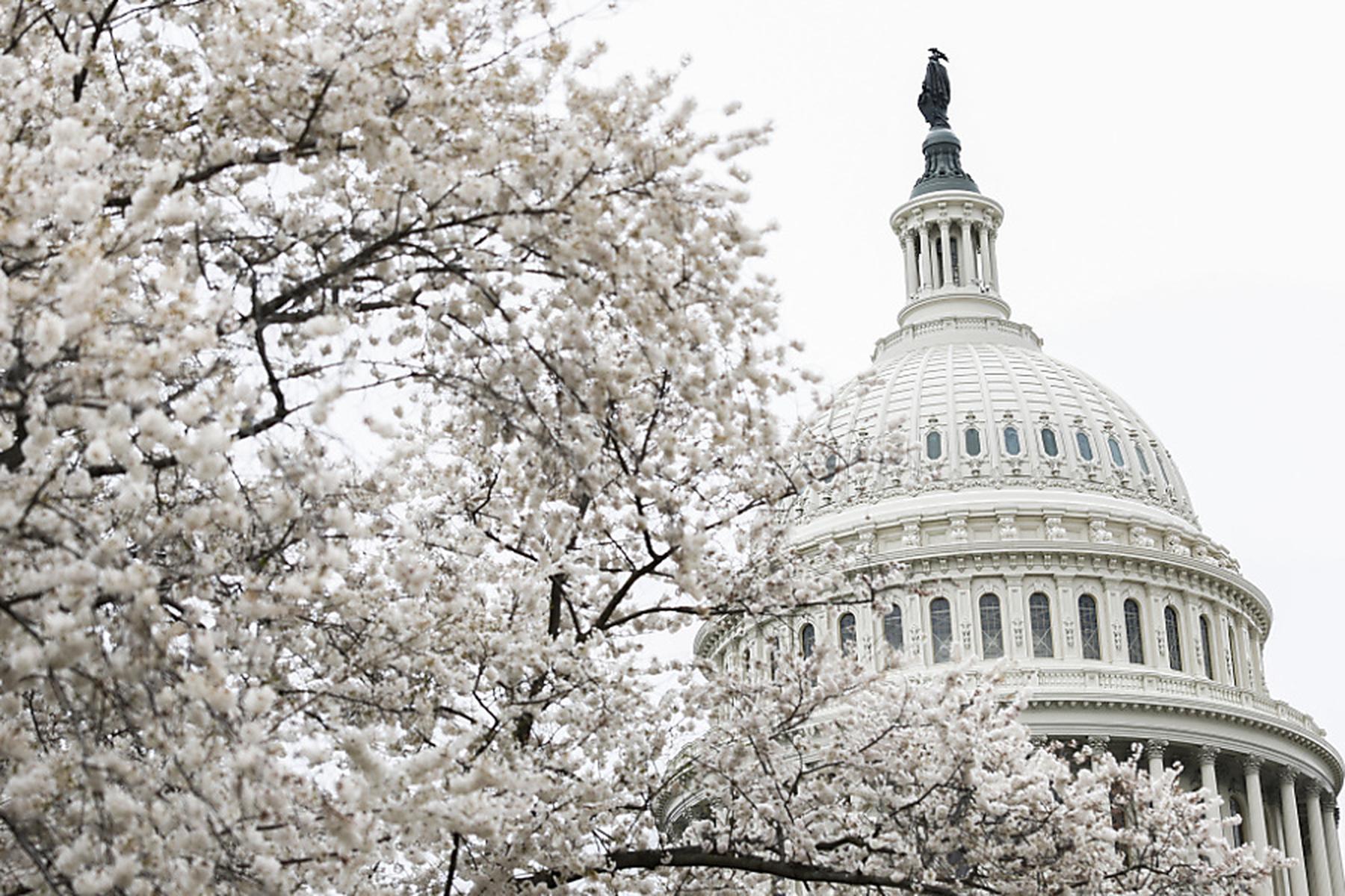 Washington: US-Senat verabschiedet Budgetpaket - Kein Shutdown