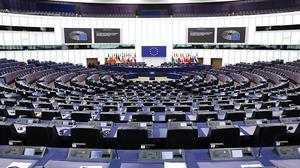 I | 705 Sitze zählt das EU-Parlament, 19 davon besetzen Mandatare aus Österreich 