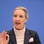 Weidel will AfD nicht als „rechtsextremistisch“ bezeichnet sehen | Weidel will AfD nicht als „rechtsextremistisch“ bezeichnet sehen