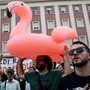 Der Flamingo ist zum Symbol der Proteste geworden | Der Flamingo ist zum Symbol der Proteste geworden