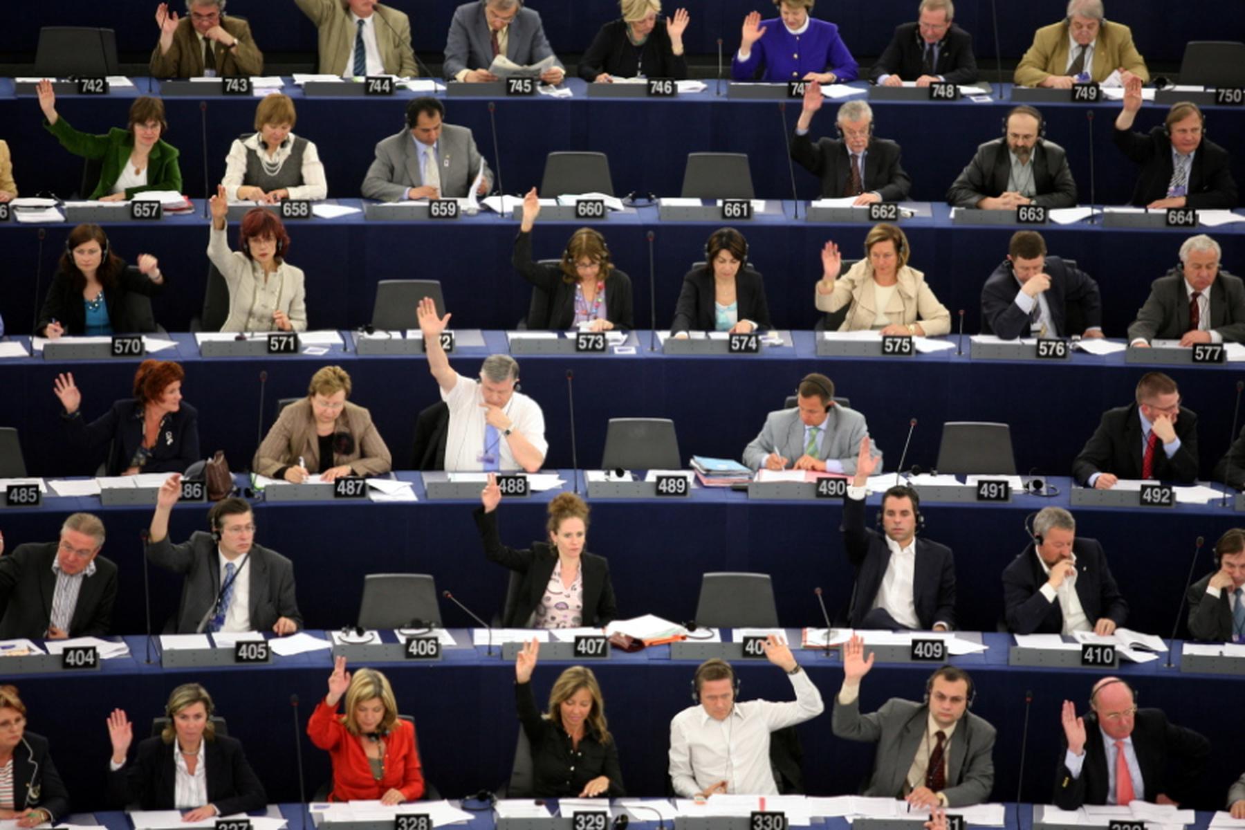 Brüssel: EU-Lexikon - Wer sind unsere Europaabgeordneten?
