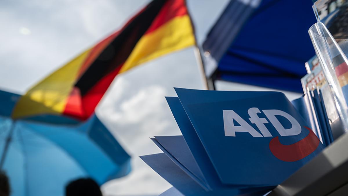 AfD bei Wahlen in Sachsen und Thüringen im Fokus