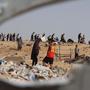 Der Angriff auf Rafah beschäftigt auch den UN-Sicherheitsrat | Der Angriff auf Rafah beschäftigt auch den UN-Sicherheitsrat