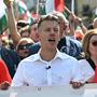 Magyar nützt bestehende Kleinpartei als Vehikel für Europawahl | Magyar nützt bestehende Kleinpartei als Vehikel für Europawahl