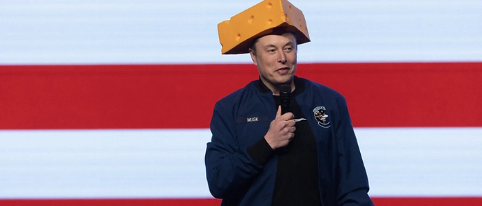 Elon Musk gibt laut einem Bericht auf | Elon Musk gibt laut einem Bericht auf