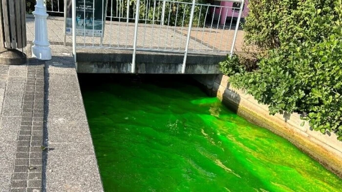 Knallgrün eingefärbter Pörtschacher Mühlbach am Donnerstagabend | Knallgrün eingefärbter Pörtschacher Mühlbach am Donnerstagabend