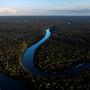 Das Amazonasgebiet gilt als einer der größten CO2-Speicher | Das Amazonasgebiet gilt als einer der größten CO2-Speicher