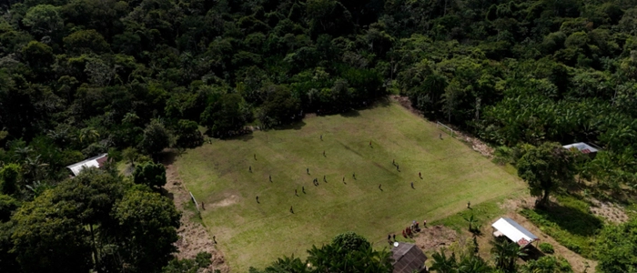 Amazonas-Regenwald in Brasilien | Weltweit wird immer mehr und immer schneller Wald zerstört