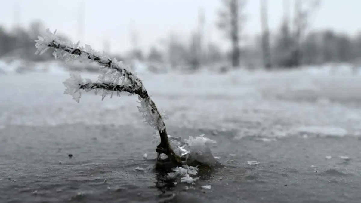 In Westösterreich soll in den nächsten Tagen große Kälte herrschen | In Westösterreich soll in den nächsten Tagen große Kälte herrschen