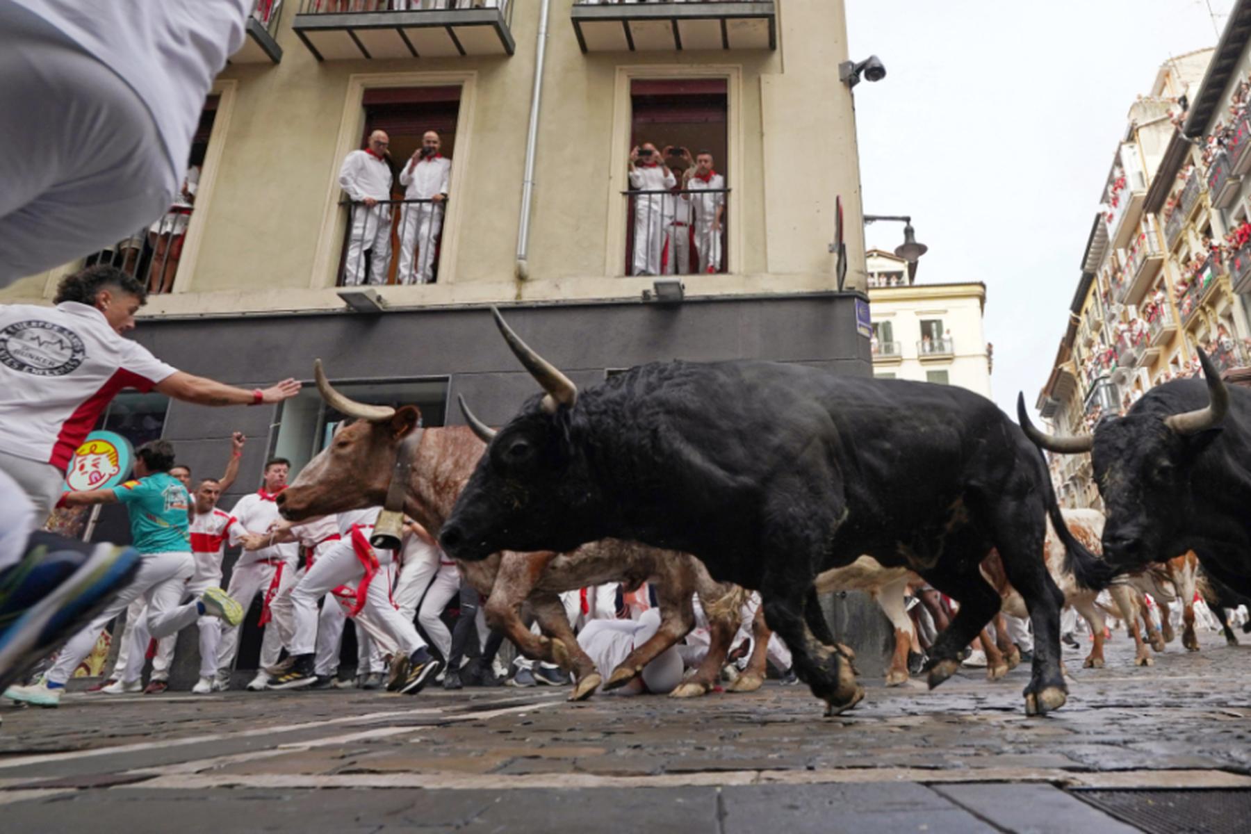 Avignon: Zuschauer kommt bei Stierlauf in Südfrankreich ums Leben