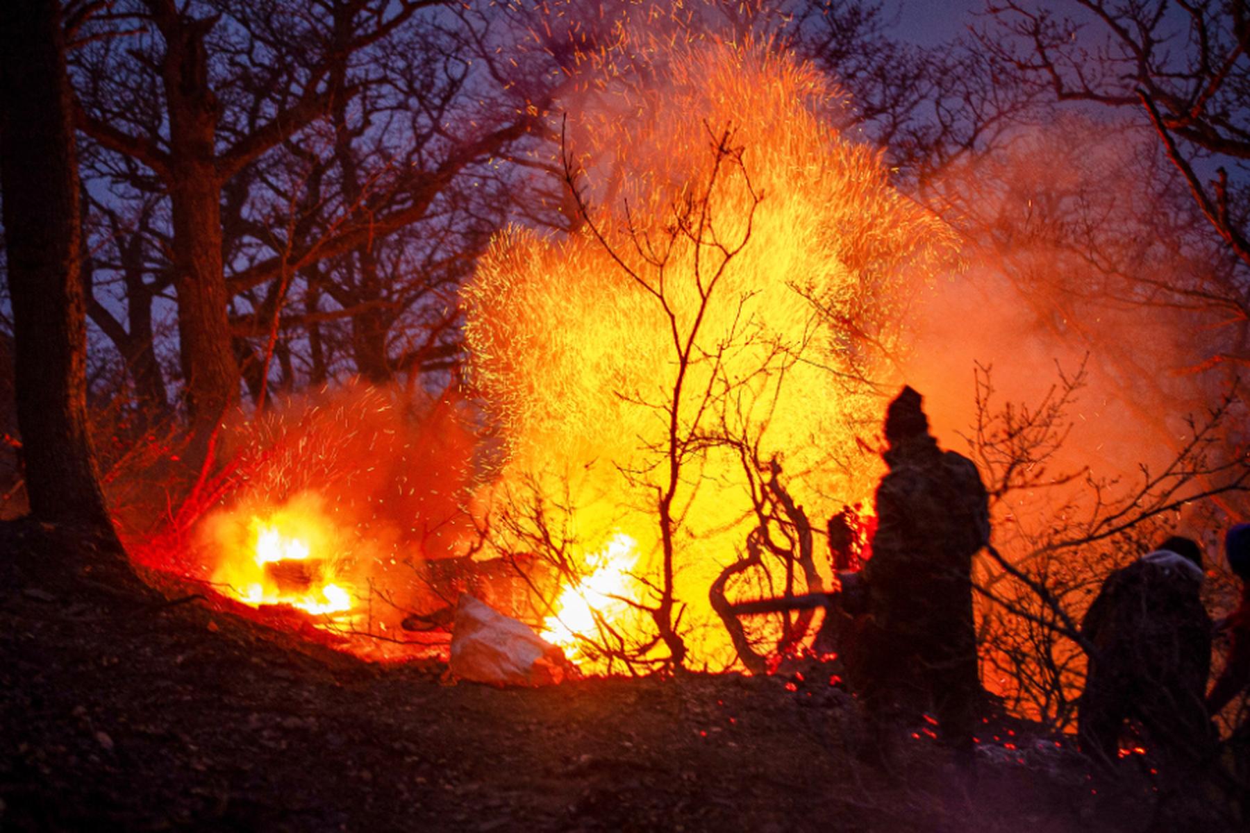 Teheran: Iran bittet wegen Feuer in UNESCO-Welterbe-Wald um Hilfe