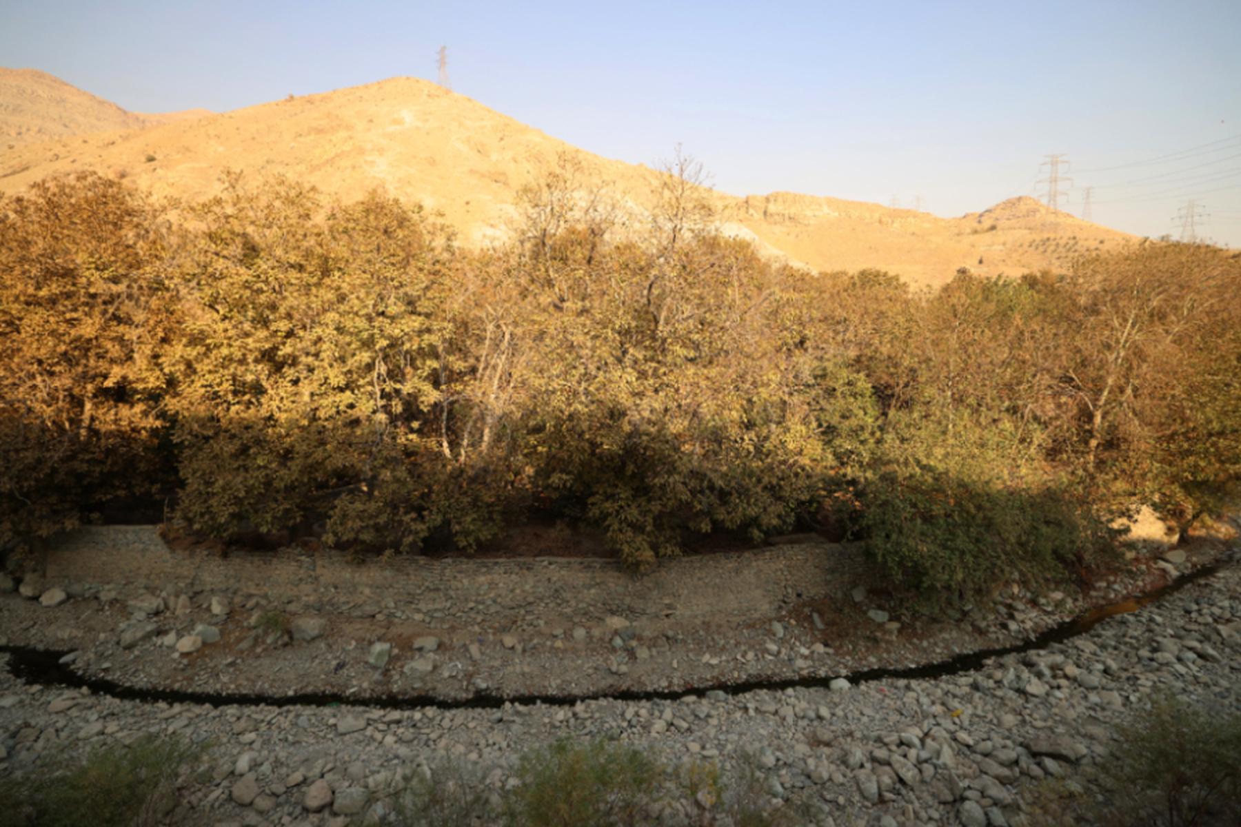 Teheran: Iran treibt Wolkenimpfen gegen Dürre voran