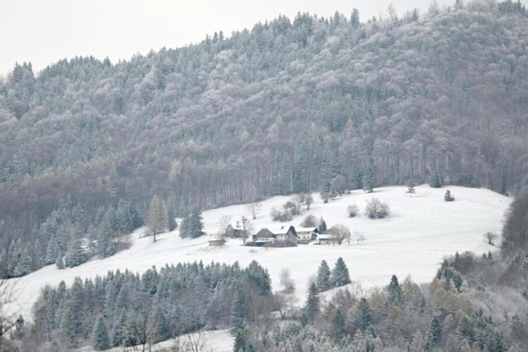 Wien: Schnee stellenweise bis in die Niederungen erwartet