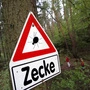 Seit Jahresbeginn wurden mehr als 2.650 Zecken bei der AGES abgegeben | Seit Jahresbeginn wurden mehr als 2.650 Zecken bei der AGES abgegeben