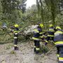 Steirische Einsatzkräfte gefordert | Steirische Einsatzkräfte gefordert