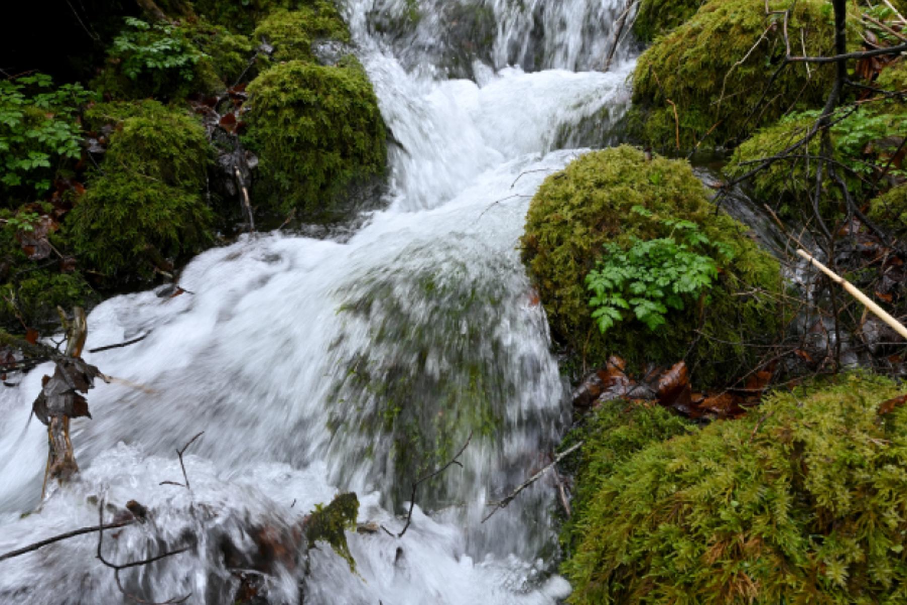 Graz: Alpine Quellen liefern derzeit noch genügend Trinkwasser