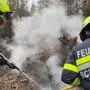 100 Einsatzkräfte waren am Freitag beschäftigt. | 100 Einsatzkräfte waren am Freitag beschäftigt.