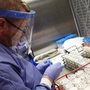 In den USA wird aktuell auch MIlch verstärkt auf H5N1 untersucht | In den USA wird aktuell auch MIlch verstärkt auf H5N1 untersucht