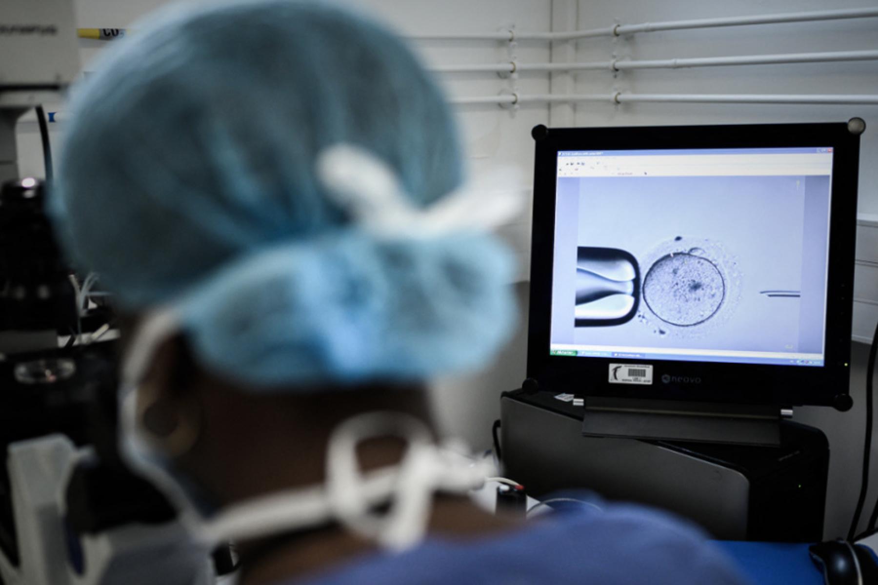 Wien: Rekord bei Schwangerschaften aus Kinderwunschbehandlungen