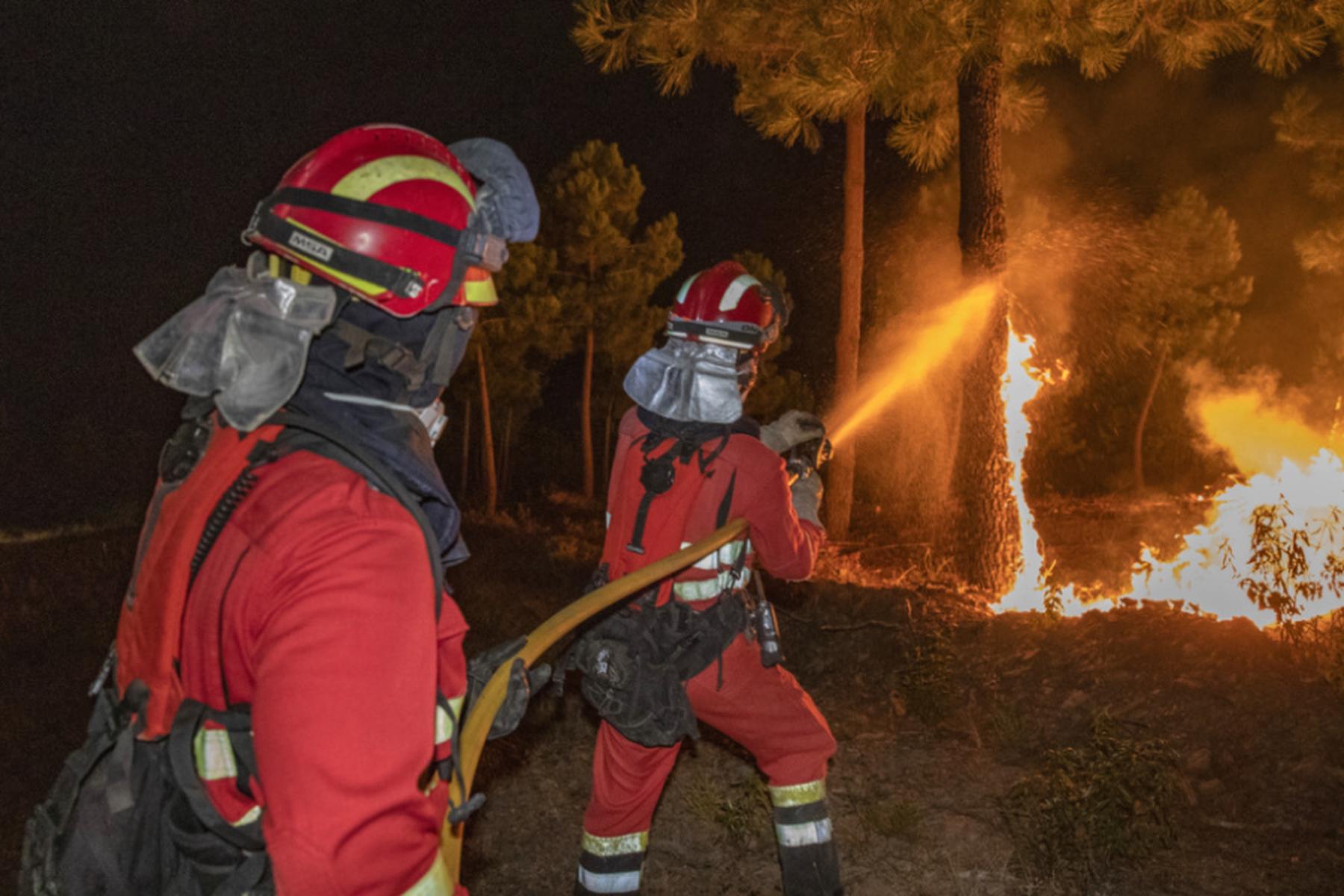 Madrid: Hotelevakuierungen wegen eines Waldbrands in Südspanien