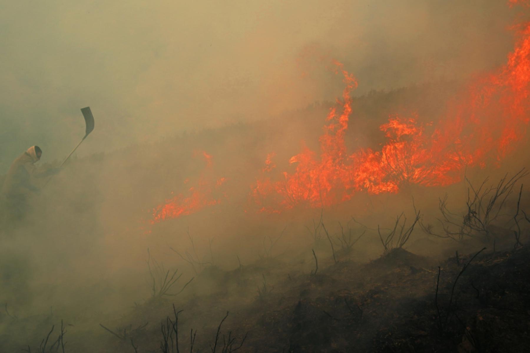 Paris: 10.000 Quadratkilometer durch Waldbrände in der EU zerstört