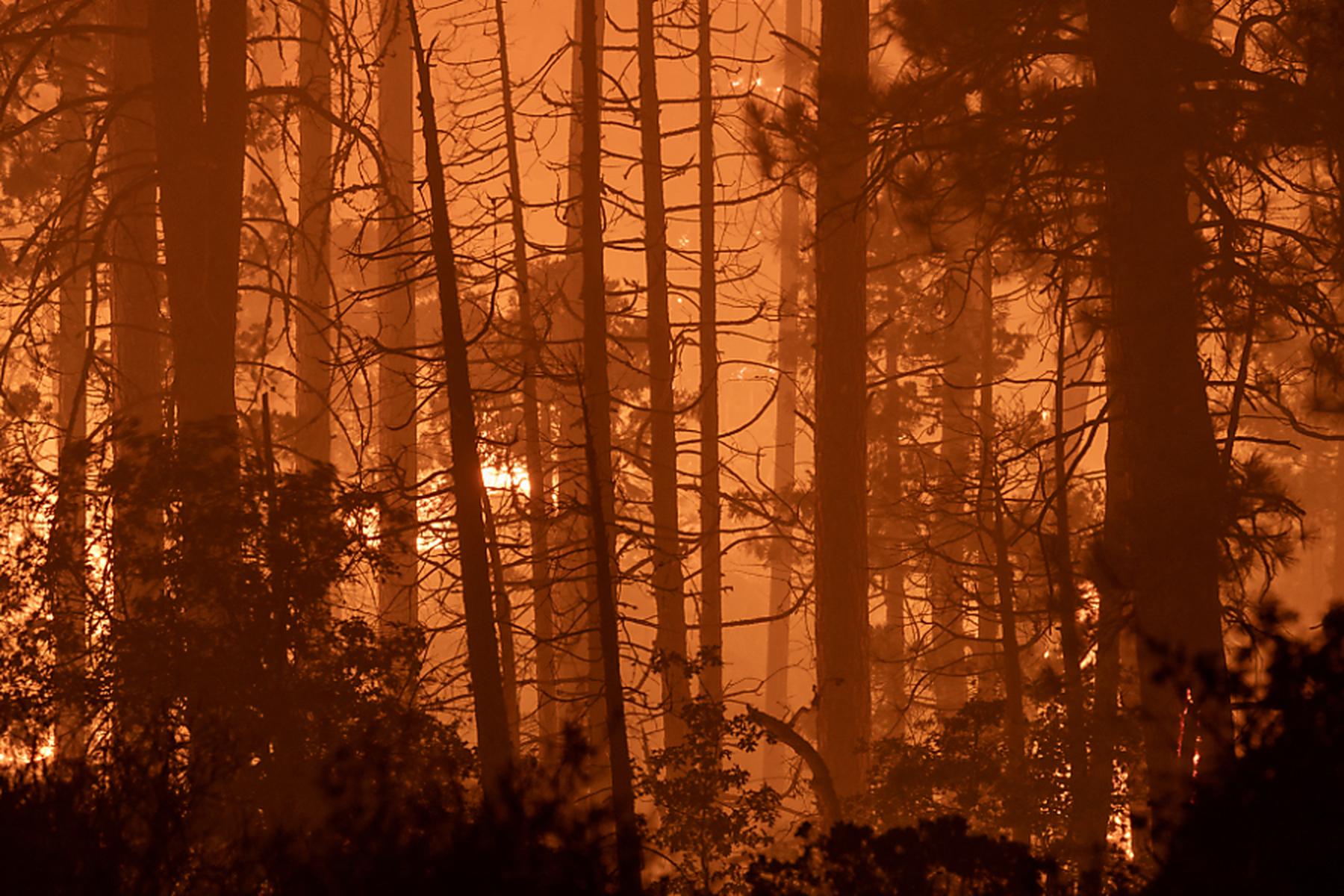 Sacramento (Kalifornien): Waldbrände in Kalifornien wachsen weiter rasant